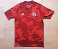 Adidas FC Bayern München 2019/2020 Parley Pre-Match Shirt Trikot rot Sz. M