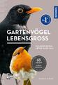 Strauß  Daniela. Gartenvögel lebensgroß. Buch