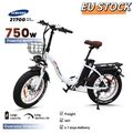 20Zoll Elektrofahrrad 48V Fat ebike 20AH Elektro-Faltrad 750W E Bike 750W Motor