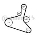 Original CONTINENTAL CTAM Keilrippenriemensatz 6DPK1195K1 für Audi Seat Skoda