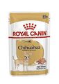 9003579001509 ROYAL CANIN Chihuahua - Paket 12x85g Royal Canin