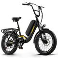 Ebike 20 Zoll Elektrofahrrad 48V 15AH E Mountainbike Damen/Herren Pedelec 25km/h