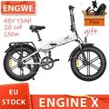 ENGWE E-Bike 250W Mountainbike 48V 13AH Elektrofahrräder 20 zoll  Fatbike City