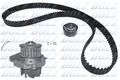 DOLZ (KD161) Wasserpumpe+Zahnriemensatz für ALFA FIAT LANCIA OPEL JEEP ABARTH