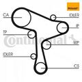 Wasserpumpe + Zahnriemensatz CONTINENTAL CTAM CT1168WP5