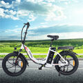 FAFREES F20 Klapprad Elektrofahrrad Faltbares E-Bike 20 Zoll 16AH 250W 25km/h