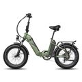 Elektrofahrrad 20 Zoll Mountainbike Pedelec 500W 48V ebike Fat Tire Bike 20.8AH