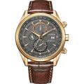 Citizen  Braun Herren Armbanduhr AT8263-10H