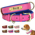 Personalisiert Hundehalsband Leder mit Namen Gravur Verstellbar Rosa XS S M L XL