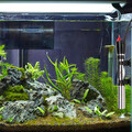 50W-500W Aquarium Regelheizer Heizstab Heizer Heizung Aquariumheizer