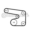 CONTINENTAL CTAM Keilrippenriemensatz  u.a. für DAEWOO, OPEL