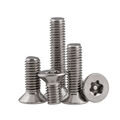 M3 M4 M5 M6 Senkkopf Sicherheitsschrauben Torx Pin Schrauben Edelstahl A2 V2A