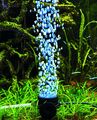 TOP Aquarium Deko 🍀 LED Sprudler blau 🍀 Dekoration Zubehör  Licht