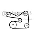 CONTINENTAL CTAM Keilrippenriemensatz 6PK1733K3 für AUDI VW SEAT SKODA PASSAT A1