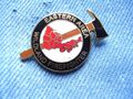 Pin USA Eastern Area Wildland Firefighter Wildland Fire Careers US Forest Servic