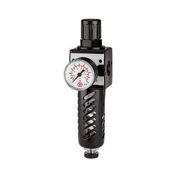 Riegler 100489 Filterregler »multifix«, mit PC-Behälter, Schutzkorb, BG 1, G 3/8