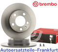 2x Brembo Bremsscheiben HINTEN AUDI A1 A3 SKODA OCTAVIA SEAT LEON IBIZA VW GOLF