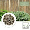 UNUS® Bambus-Sichtschutzmatte flacher Bambus Sichtschutz Gartenzaun Bambusmatte