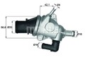 MAHLE Thermostat für Kühlmittel / Kühlerthermostat BEHR TI 125 88