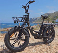 ENGWE L20 Elektrofahrrad 20 Zoll E-Bike 250W 13AH Pedelec e Citybike 25km/h