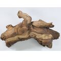Mopani Wurzel Größe "S"  10-20cm Holz für Aquarium Terrarium Reptilien HardScape