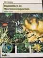 Meerwasser; Blumentiere im Meerwasseraquarium; Joachim Frische; bede Verlag