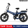 TESWAY 20 Zoll E Bike Pedelec Cityräder Elektrofahrrad 750W 48V 25Ah Klapprad