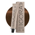 Schwarzkopf Igora Royal Absolutes 7-460 Beige-Naturschokolade Mittelblond  60ml