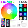 5-30M Neon LED Strip Streifen RGB Flex Schlauch diffus Lichtband Dimmbar APP 24V