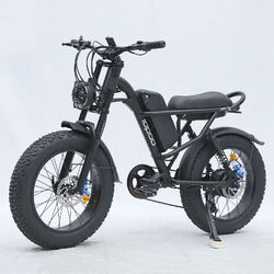 500W E Mountainbike 20 Zoll Elektrofahrrad Ebike FatBike 48V 15AH MTB Pedelec