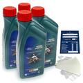 4 Liter org. Ford Castrol Magnatec Prof. A5 5W30 Motoröl 15533B 15534F SET