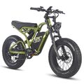 20 Zoll Reifen Elektrofahrrad 750W E Mountainbike Fatbike Pedelec eBike MTB 25Ah