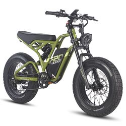 20 Zoll Reifen Elektrofahrrad 750W E Mountainbike Fatbike Pedelec eBike MTB 25Ah