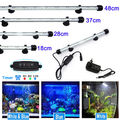 LED Aquarium Beleuchtung Weiß Blau Lampe mit Timer Dimmbar Aquarienbeleuchtung