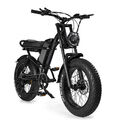 20" Offroad E-Bike MTB 500W Elektrofahrrad Fat Tires Elektro-Mountainbike 45km/h