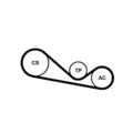 CONTINENTAL CTAM Keilrippenriemensatz 4PK1237K1 für AUDI VW SKODA