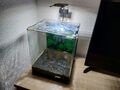 Nano Cube 20l Aquarium mit viel Zubehör 