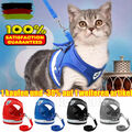 Hundegeschirr Hunde Katzen Brustgeschirr Verstellbar Gr* S M L Gepolstert Nylon.