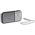 Technisat TechniRadio RDR silber Radio