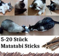 Matatabi Katzen Kauhölzer Catnip Snacks Sticks Katzenminze für gesunde Zähne