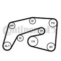 CONTINENTAL CTAM Wasserpumpe + Keilrippenriemensatz  u.a. für CHRYSLER, JEEP