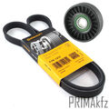 CONTI Keilrippenriemen + Spannrolle für Opel Astra G H Corsa C 1.6 1.8 16V 