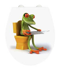 WENKO WC Sitz Toiletten Klo Deckel FROG NEWS Absenkautomatik Frosch Bad Acryl