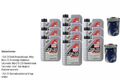 10L Motoröl Liqui Moly Top Tec 4300 5W-30 2xMotor Doctor