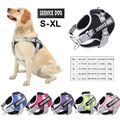 Hundegeschirr Brustgeschirr Hunde verstellbar S M L XL gepolstert Nylon Reflekt