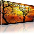 Natur Horizont Baum Himmel Sonne Bild Bilder auf Leinwand Keilrahmen