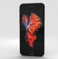 Apple iPhone 6s Plus - 64GB - Space Grau, Kameras sind defekt, funktionieren sonst