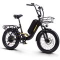 20 Zoll Elektrofahrrad E Mountainbike 48V 15ah E-Bike 750W Motor Trekking eBike