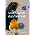 Gartenvögel lebensgroß. Daniela Strauß