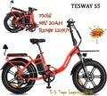 Tesway S5 Elektrofahrrad 750W Klapprad E-Bike Fatbike Pedelec 48V 20AH E-BIKE